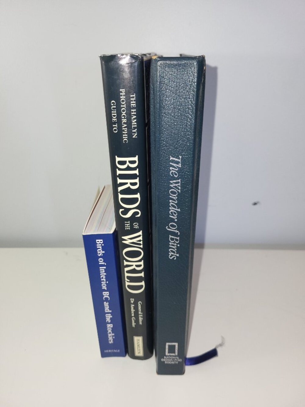 Bird Book Lot 3 Vintage Bird Books Nature Wildlife Coffee Table Books - Picture 9 of 9